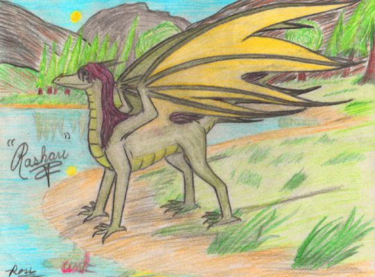 Click to view full size image
 ============== 
Jafira's Rashau By Noddy
My dragon Rashau as drawn by the artist Noddy over on FurAffinity.<br />
Keywords: Rashau, Noddy, Innana,