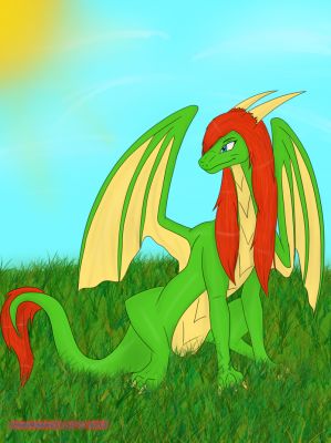 Click to view full size image
 ============== 
Rashau Commission by Xneonshadow21 ( http://xneonshadow21.deviantart.com/)
Keywords: Rashau, Commission, Xneonshadow21, DeviantArt, Dragon,