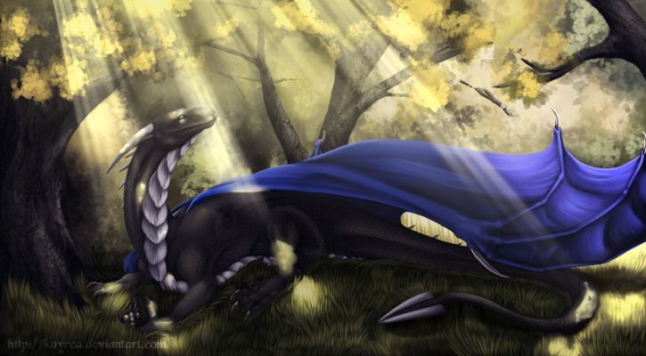 Click to view full size image
 ============== 
Tranquil Rays of light Korageth Commission by Kayrea (http://kayrea.deviantart.com/)
Keywords: Korageth, Commission, Kayrea, Awesome