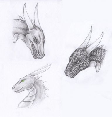 Click to view full size image
 ============== 
Korageth Headshots Commissioned to Lelixiana (http://lelixiana.deviantart.com/)
Keywords: Korageth, Headshot, Commission, Dragon, Lelixiana Deviantart